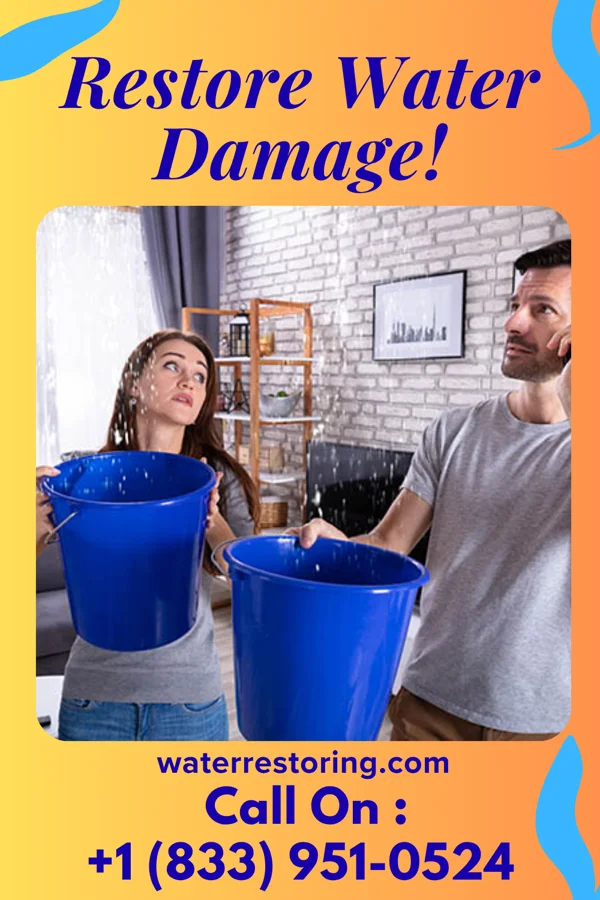 water restoration Priority Disaster Recovery LLC Negley